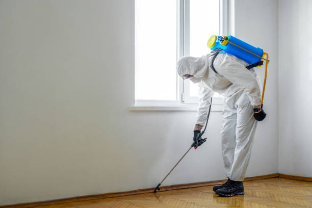 Best Affordable Exterminators  in Crooks, SD