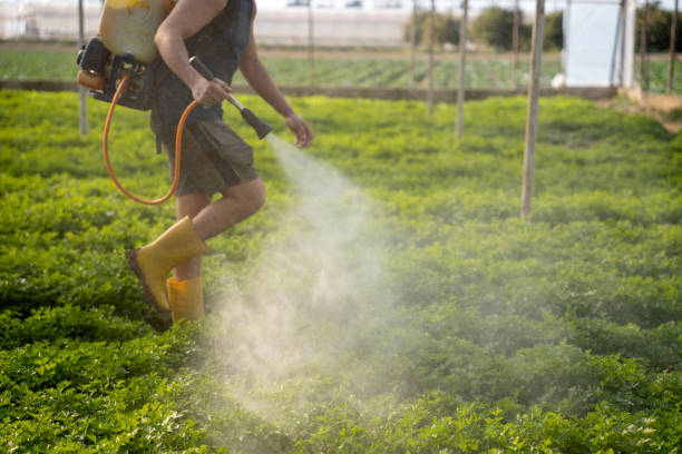 Best Best Pest Control Companies  in Crooks, SD