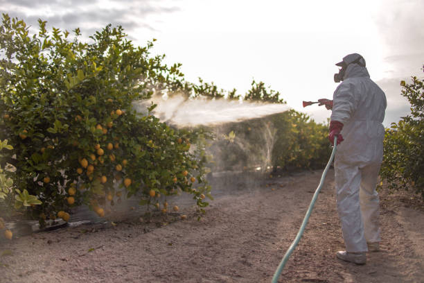 Best Affordable Pest Control Services  in Crooks, SD