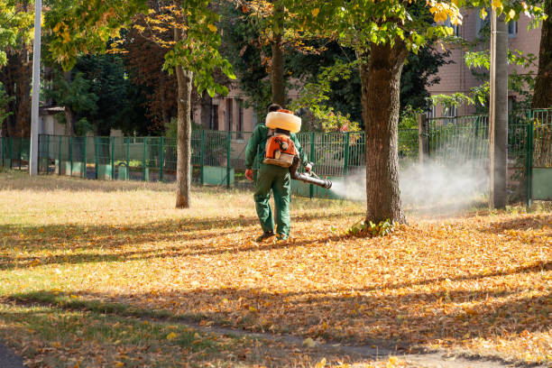 Best Emergency Pest Control  in Crooks, SD