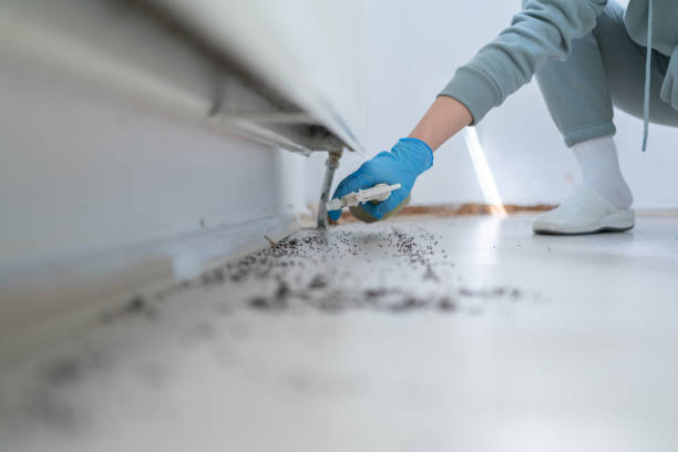 Best Rat Extermination Near Me  in Crooks, SD