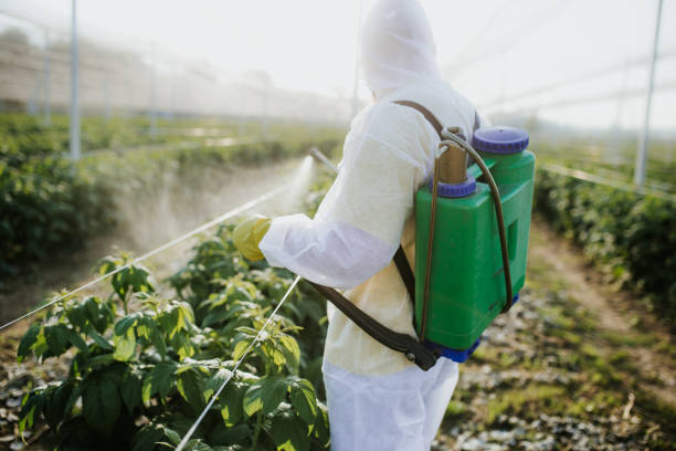 Best Best Pest Control Companies  in Crooks, SD